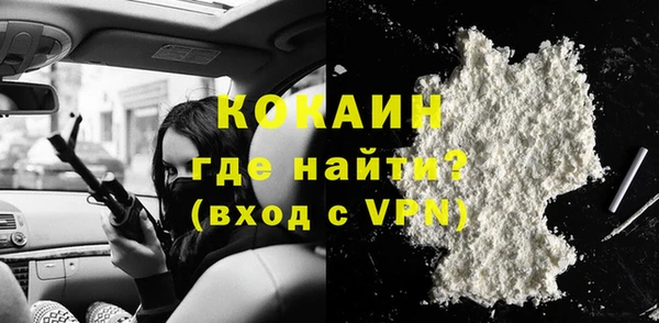шишки Пересвет