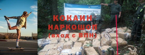 шишки Пересвет