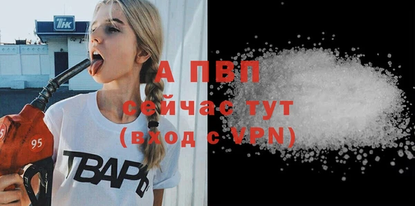 шишки Пересвет